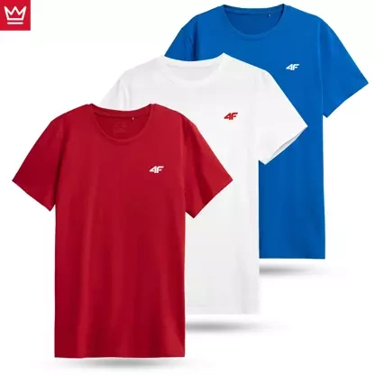 Koszulka męska 4F 4FWSS23TTSHM1231-91S 3PAK