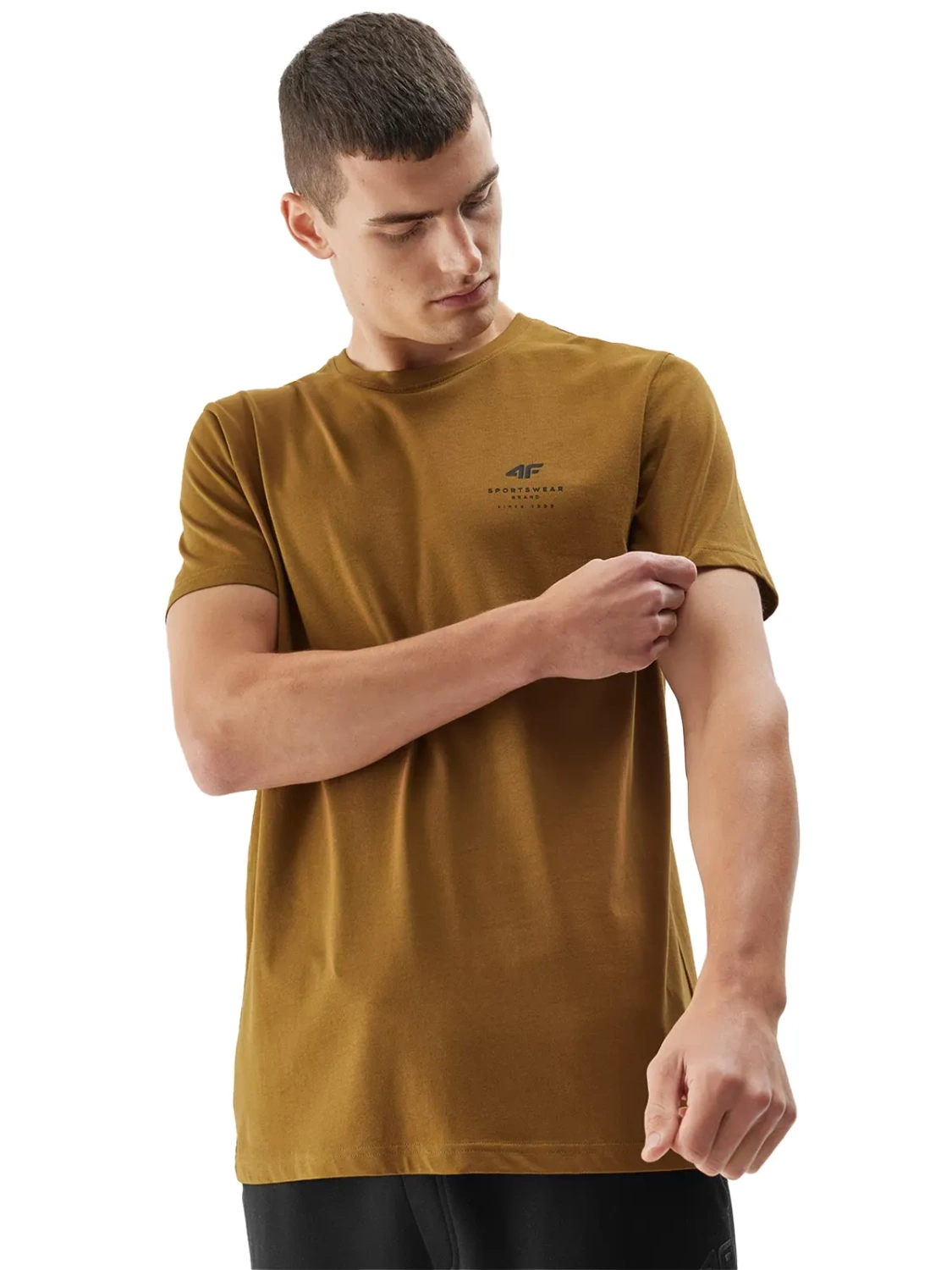 Koszulka męska  4F 4FAW23TTSHM0951-74S 