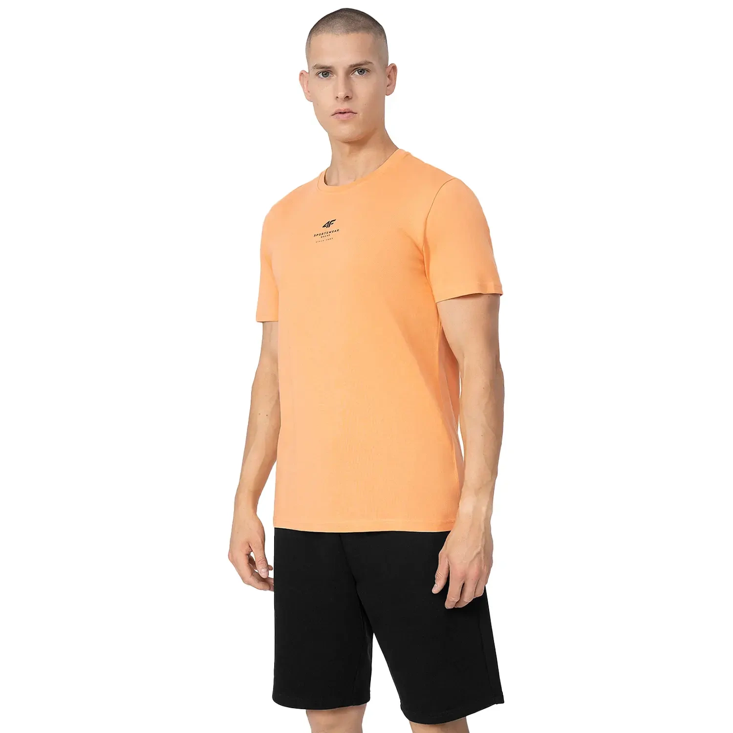 Koszulka męska 4F 4FSS23TTSHM363-64S