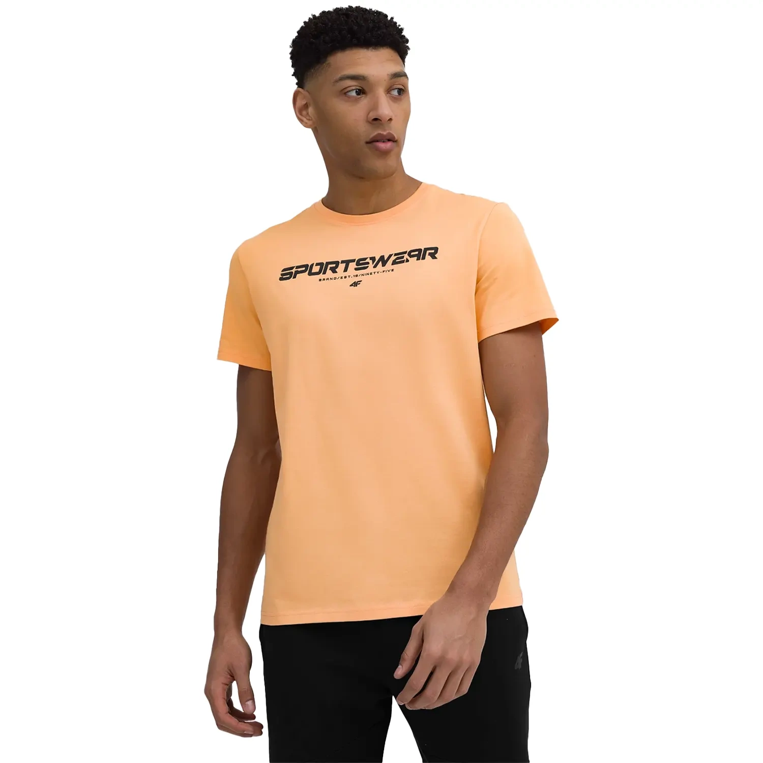 Koszulka męska 4F 4FSS23TTSHM364-64S