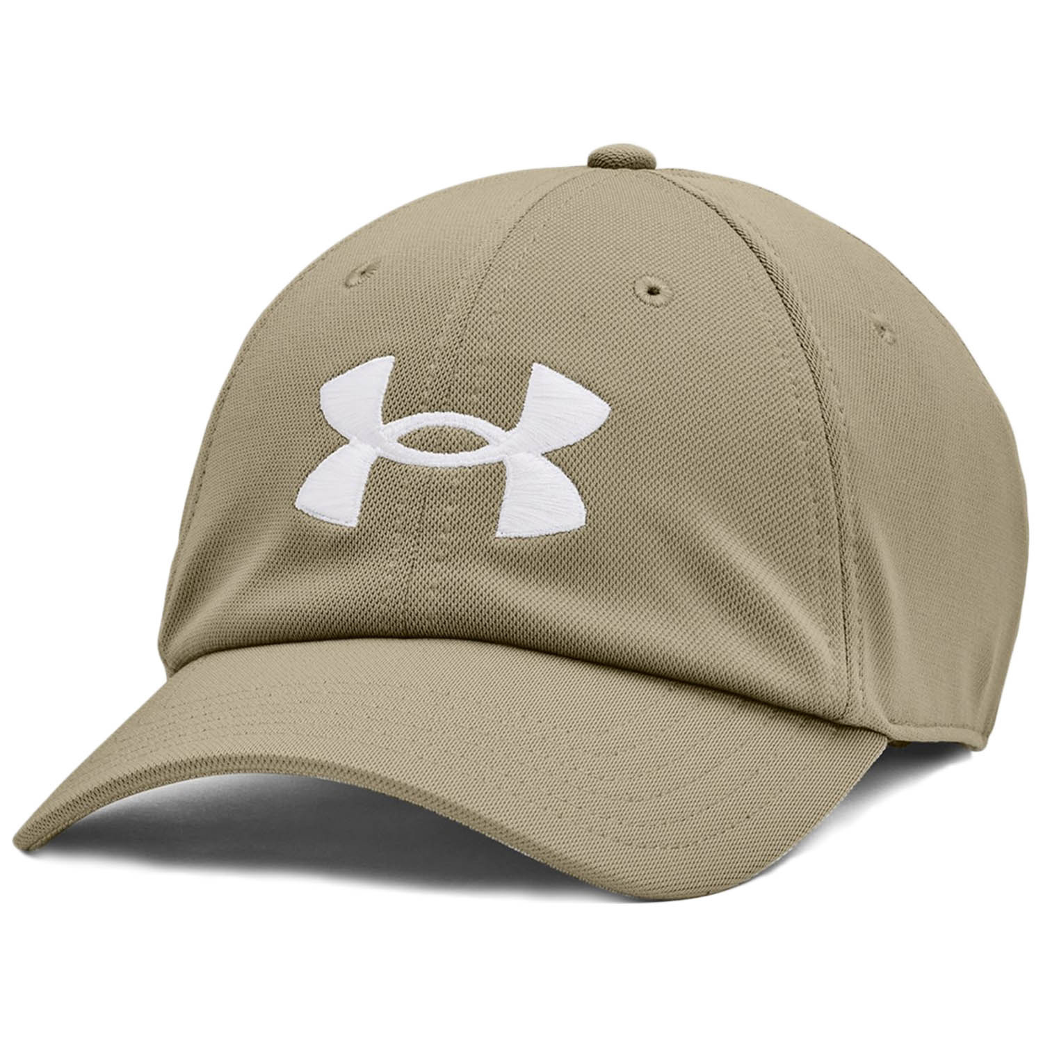 Czapka z daszkiem Under Armour 1361532-037