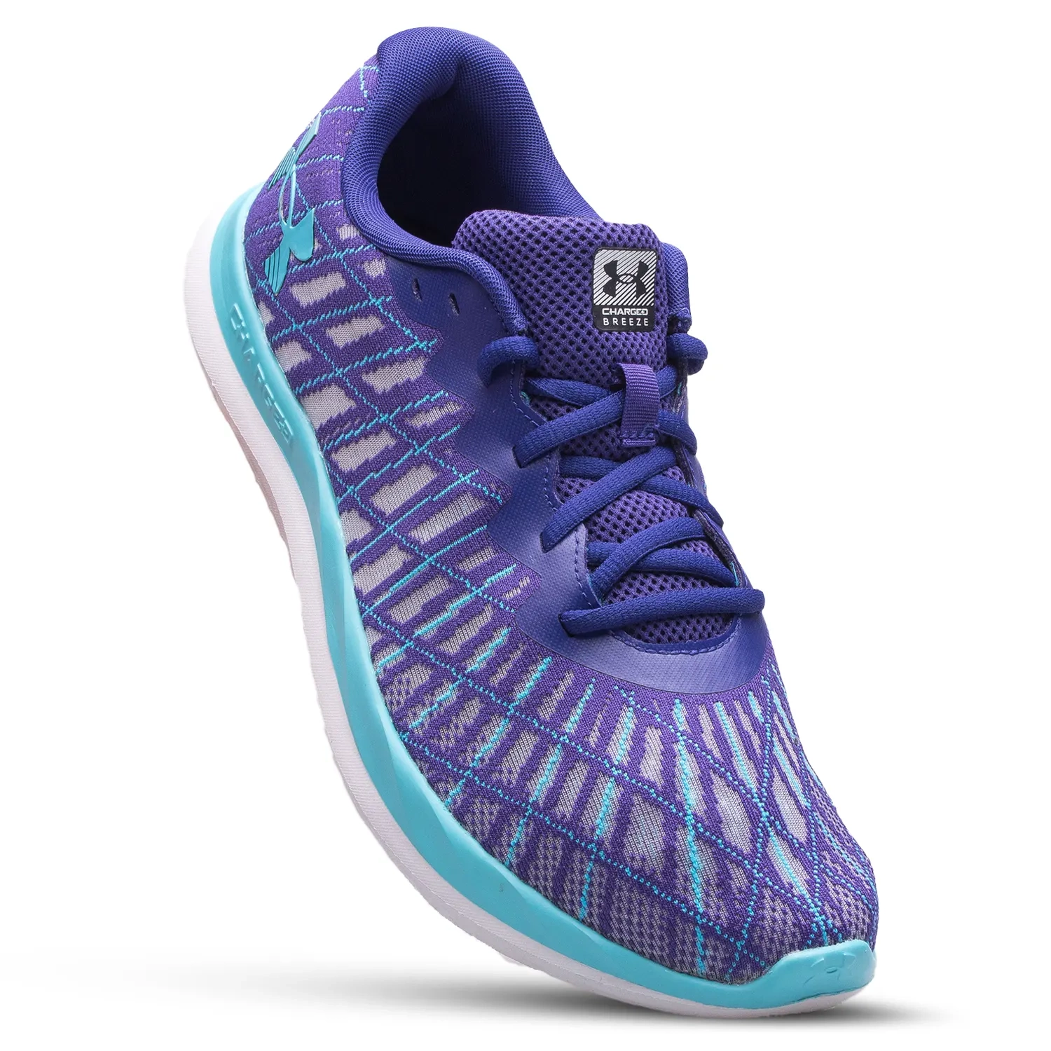 Buty męskie Under Armour Charged 2 3026135-500