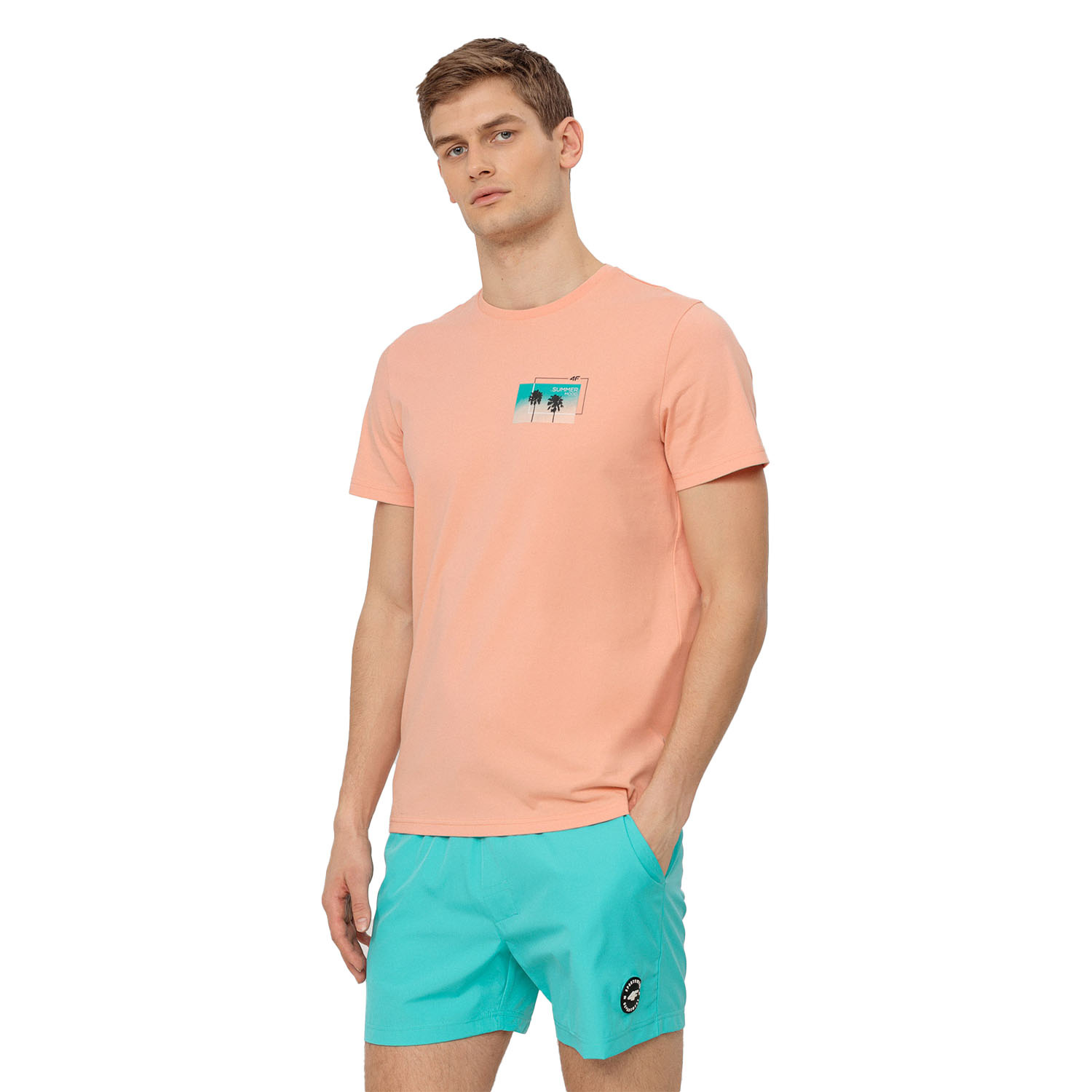 Koszulka męska 4F H4L22-TSM043-64S