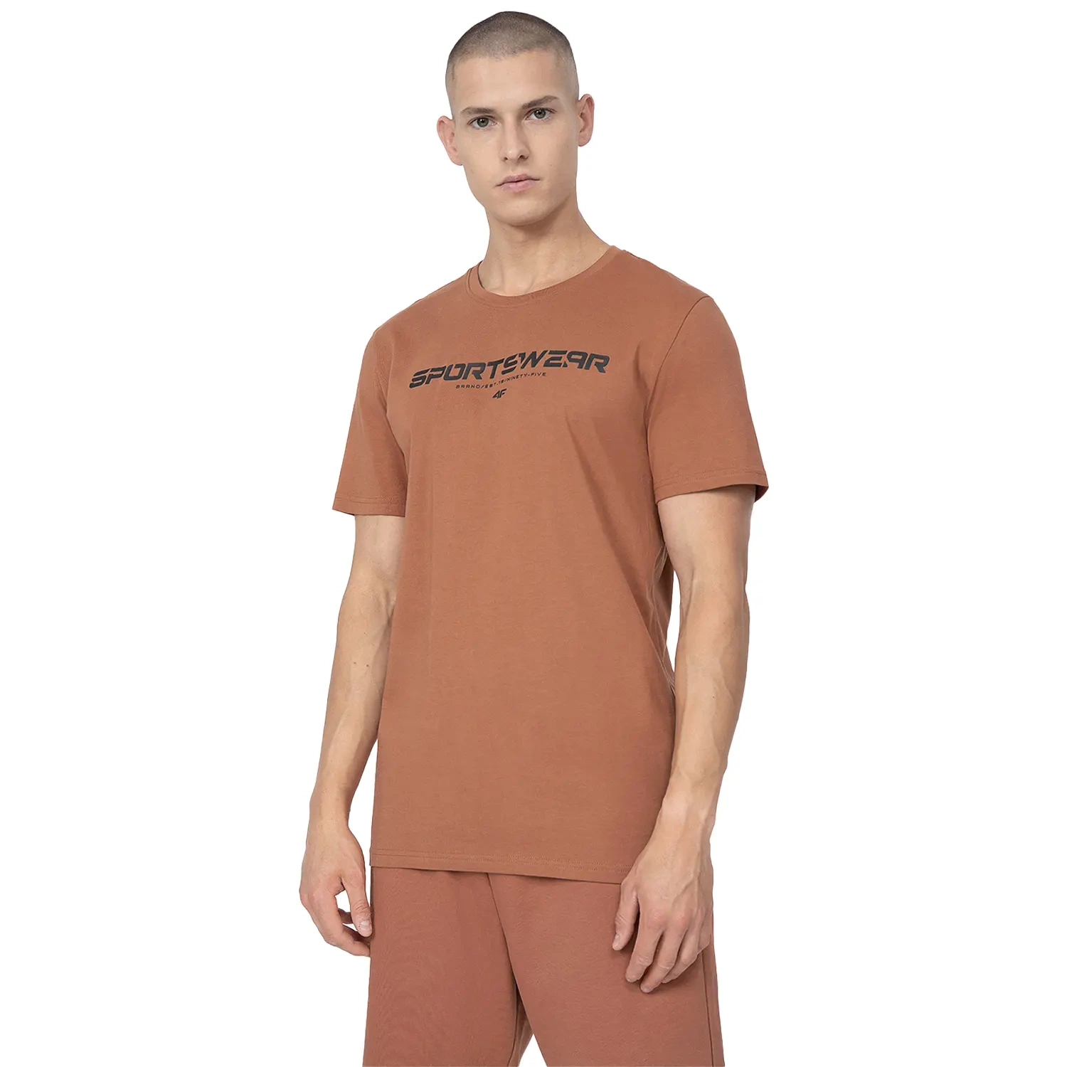 Koszulka męska 4F 4FSS23TTSHM364-81S