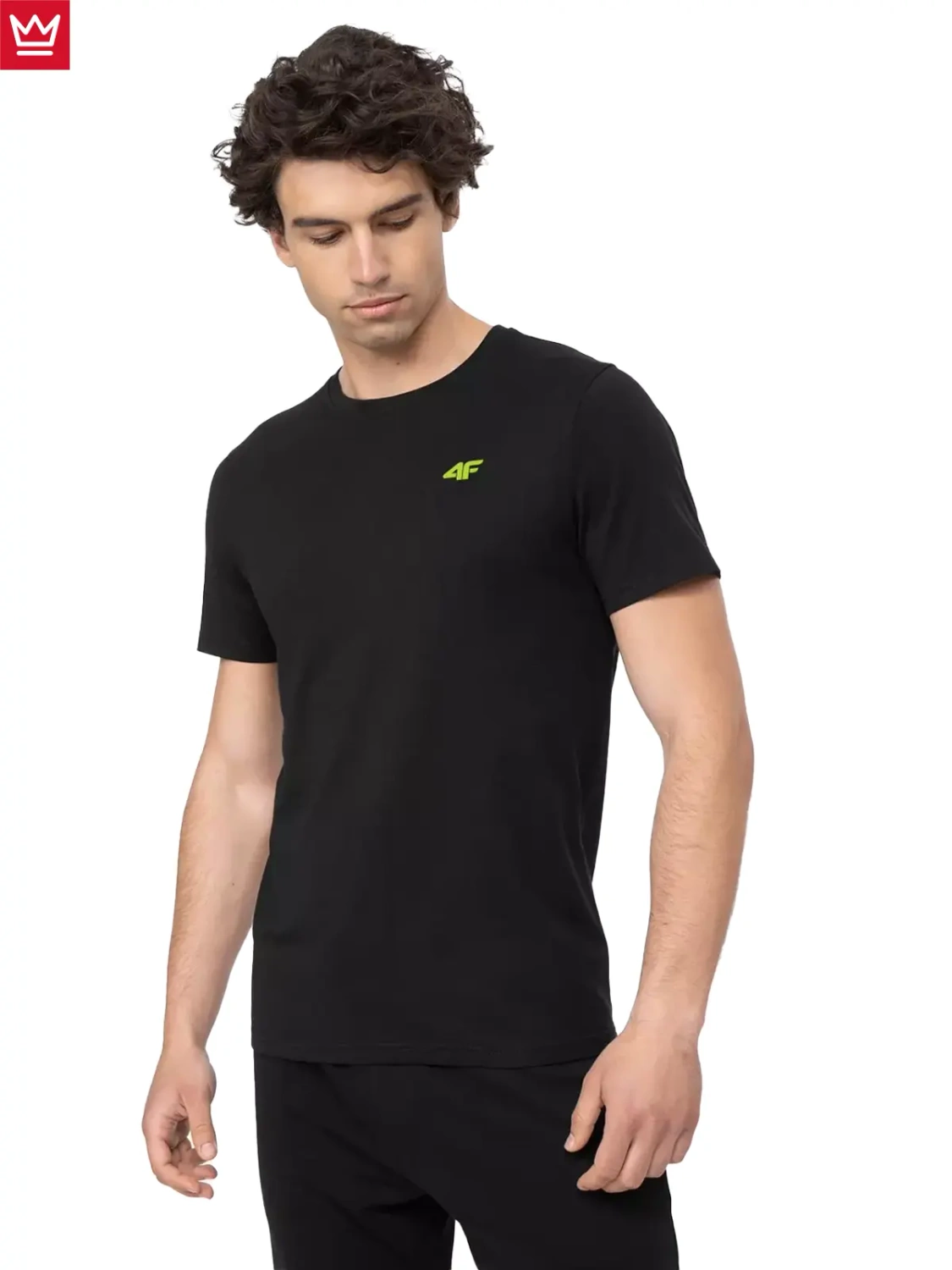 Koszulka męska 4F 4FWSS23TTSHM1224-20S