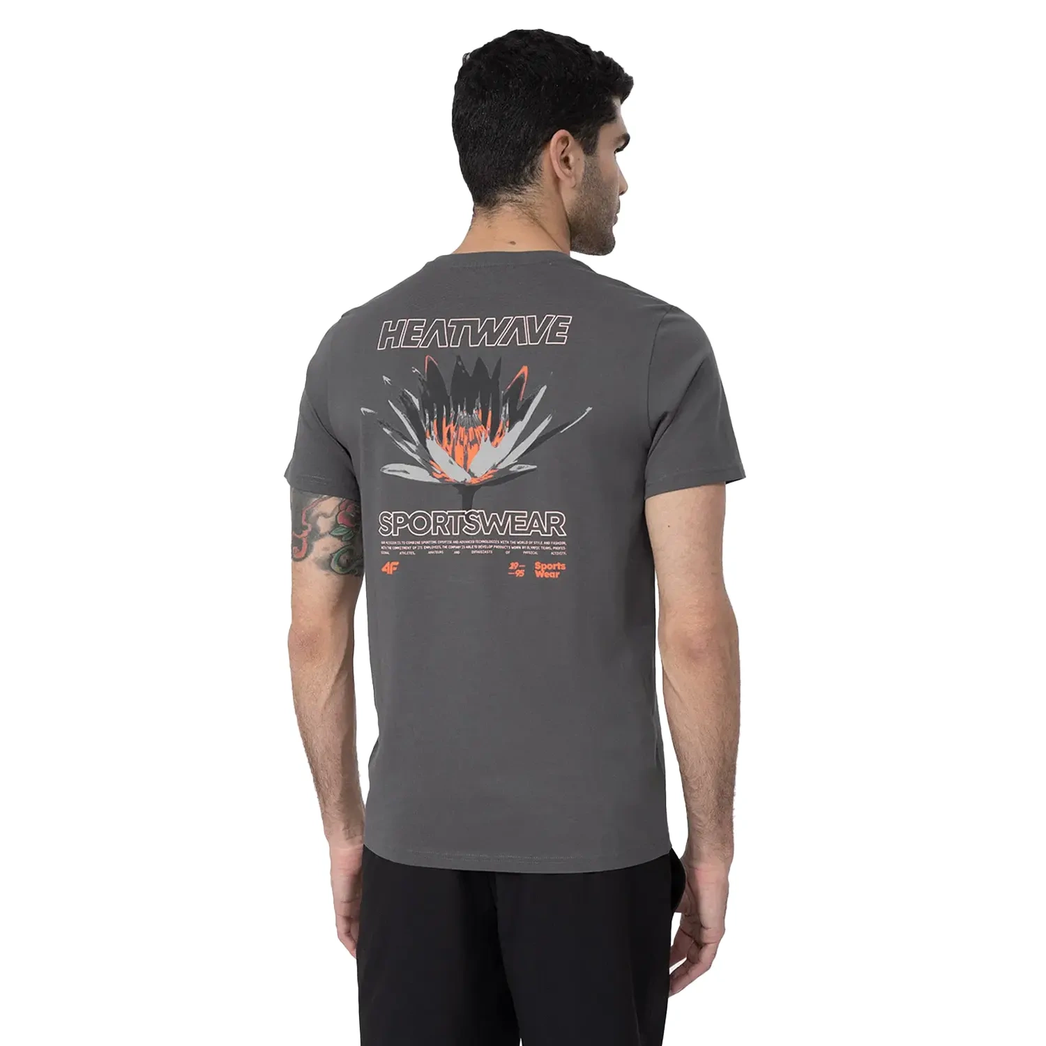 Koszulka męska 4F 4FSS23TTSHM355-22S