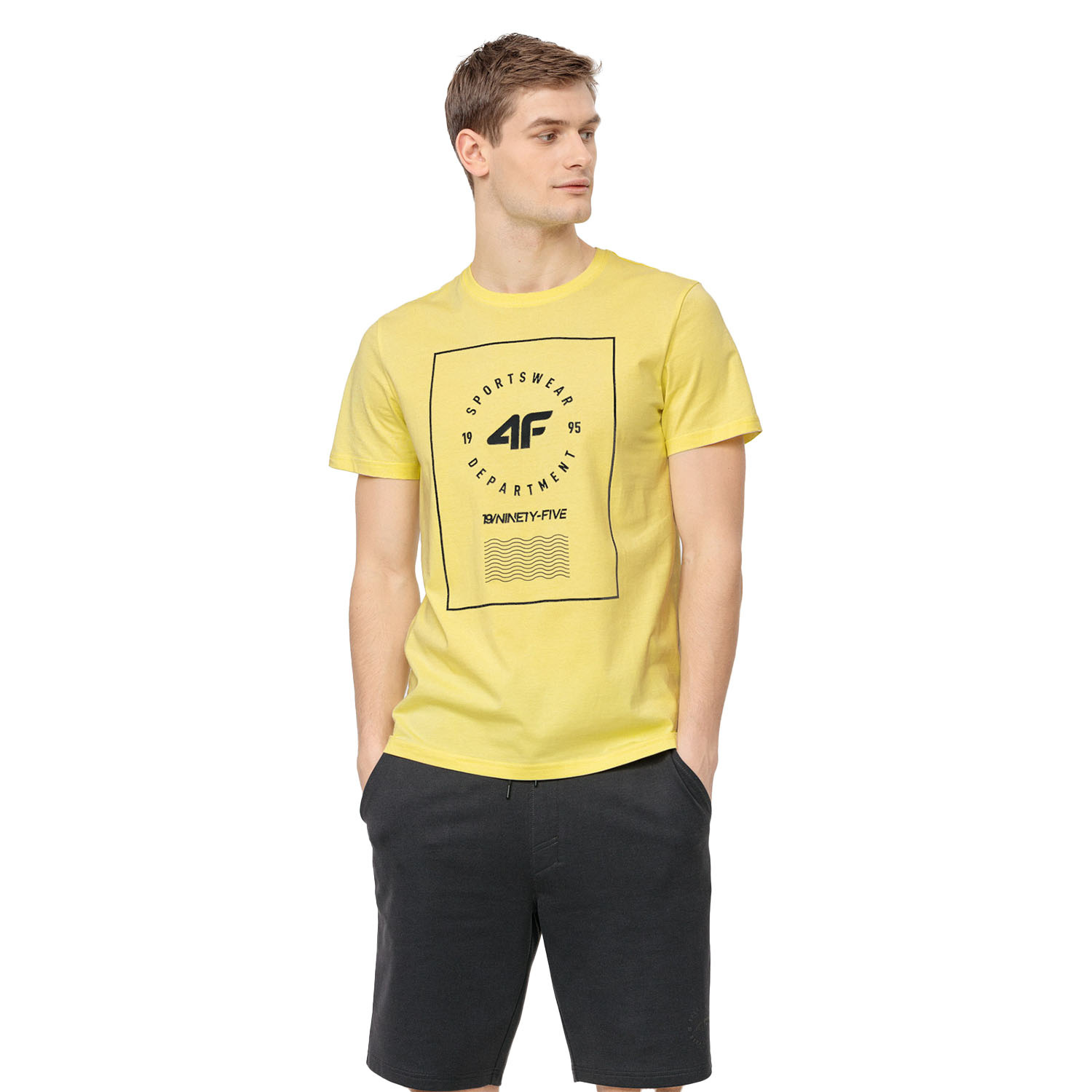 Koszulka męska 4F H4L22-TSM033-73S