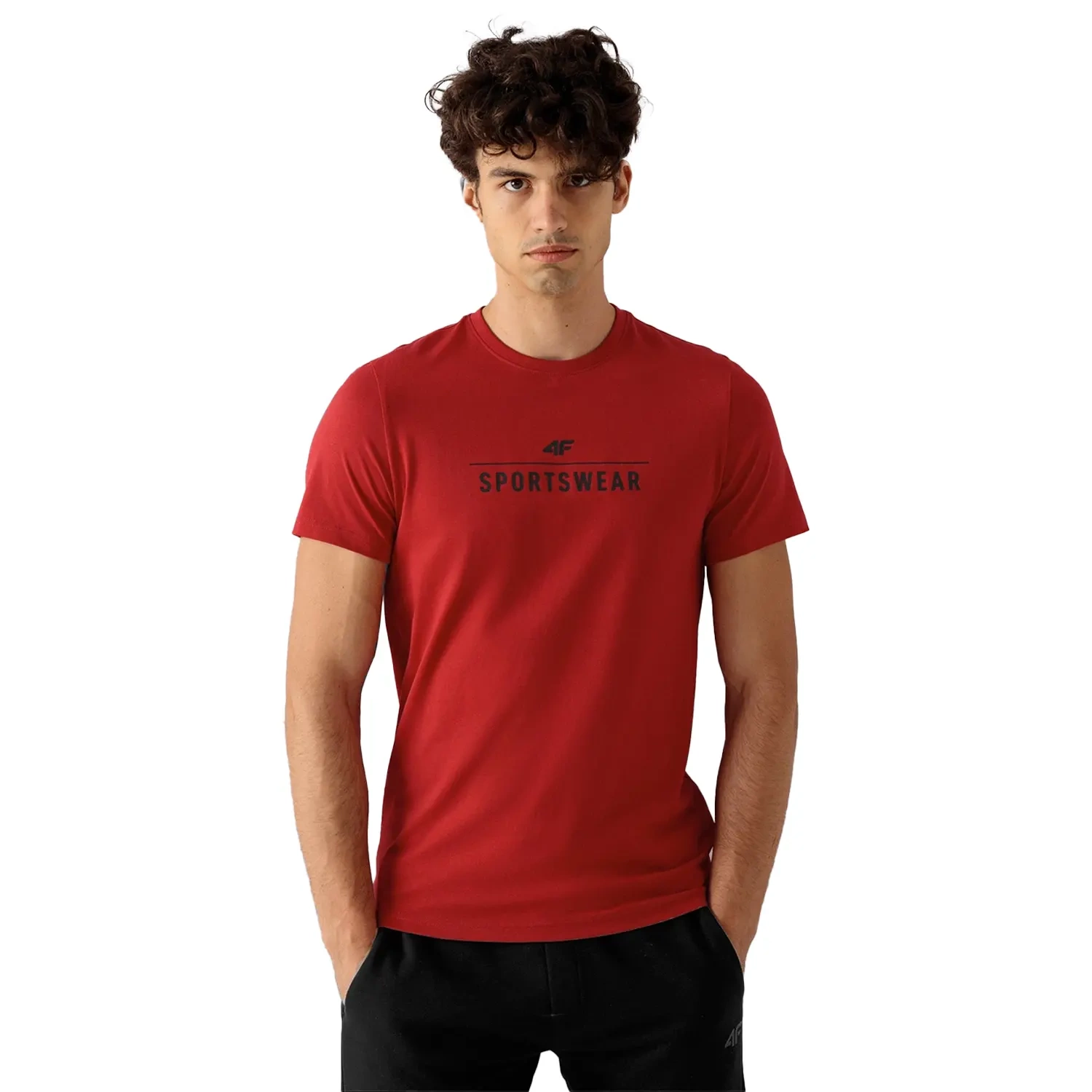 Koszulka męska 4F 4FSS23TTSHM539-62S