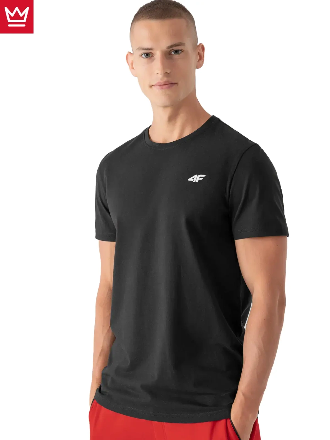 Koszulka męska 4F 4FAW22TTSHM707-20S
