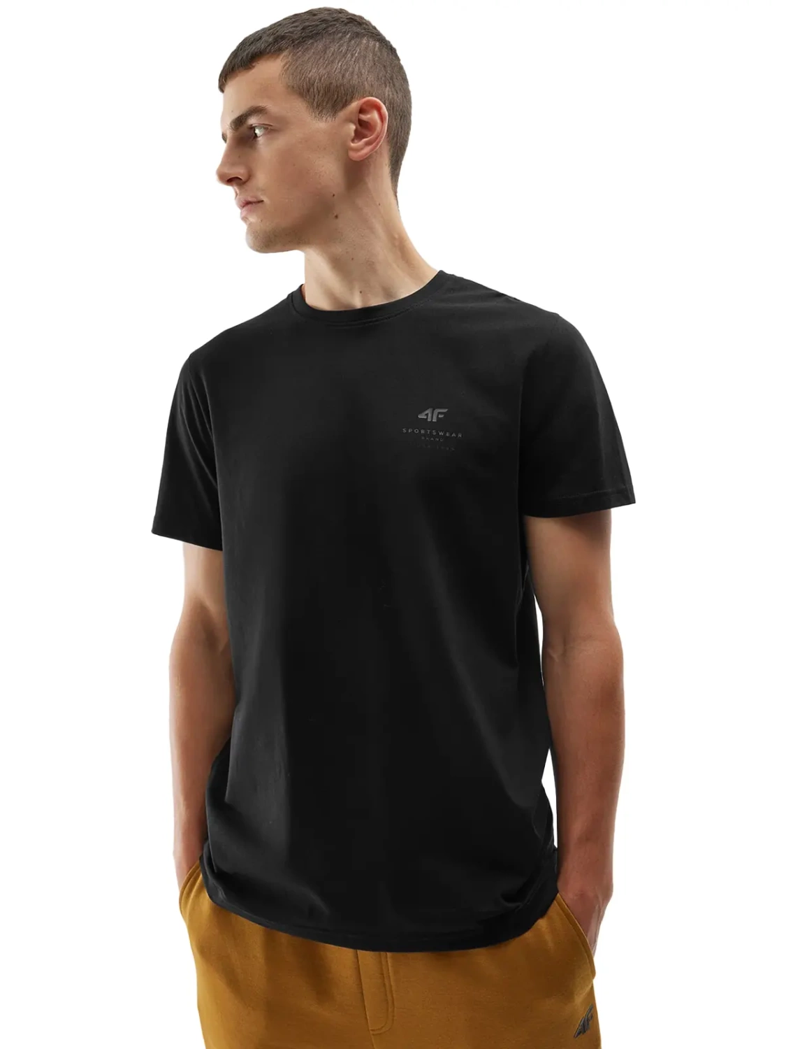 Koszulka męska  4F 4FAW23TTSHM0951-20S 