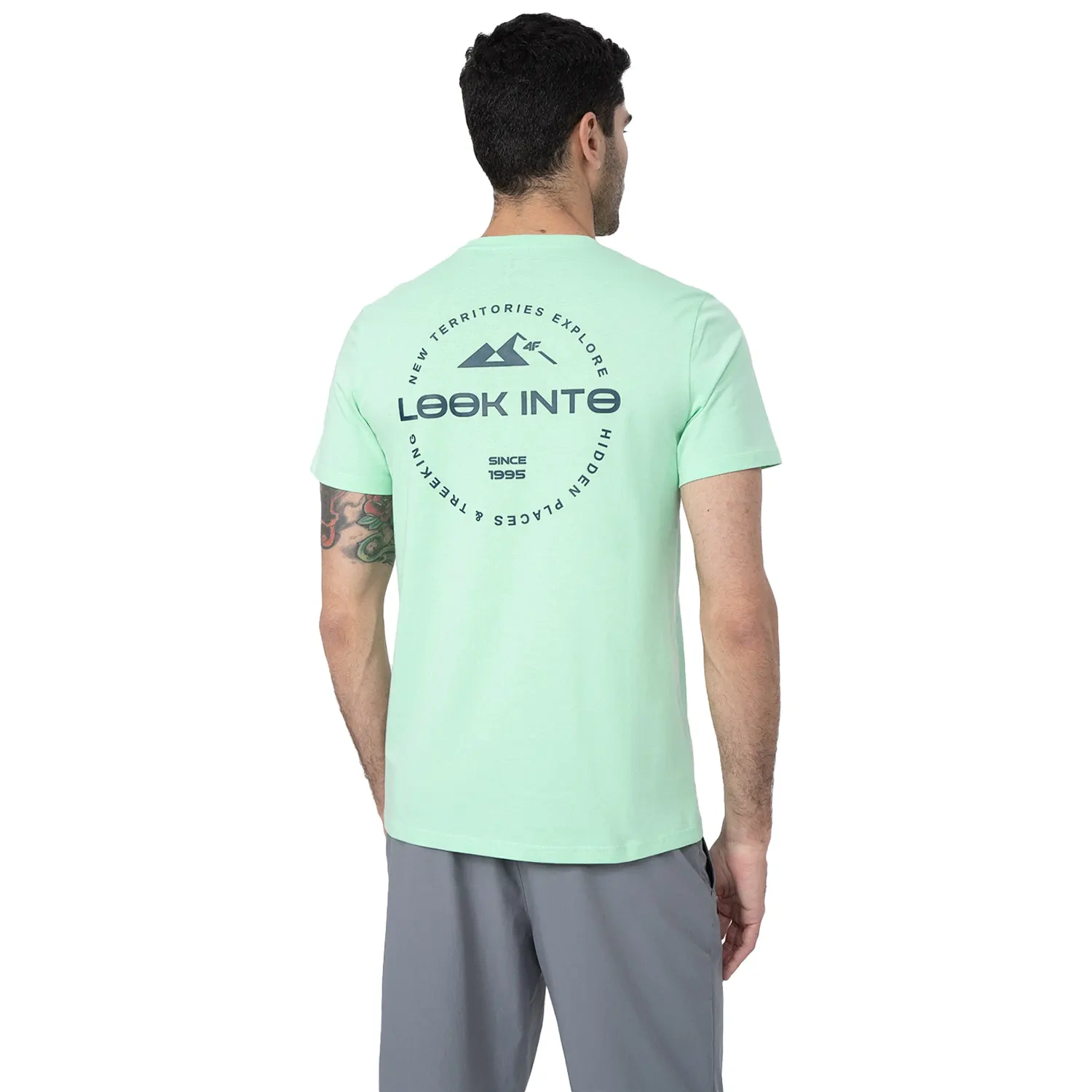 Koszulka męska 4F 4FSS23TTSHM486-42N