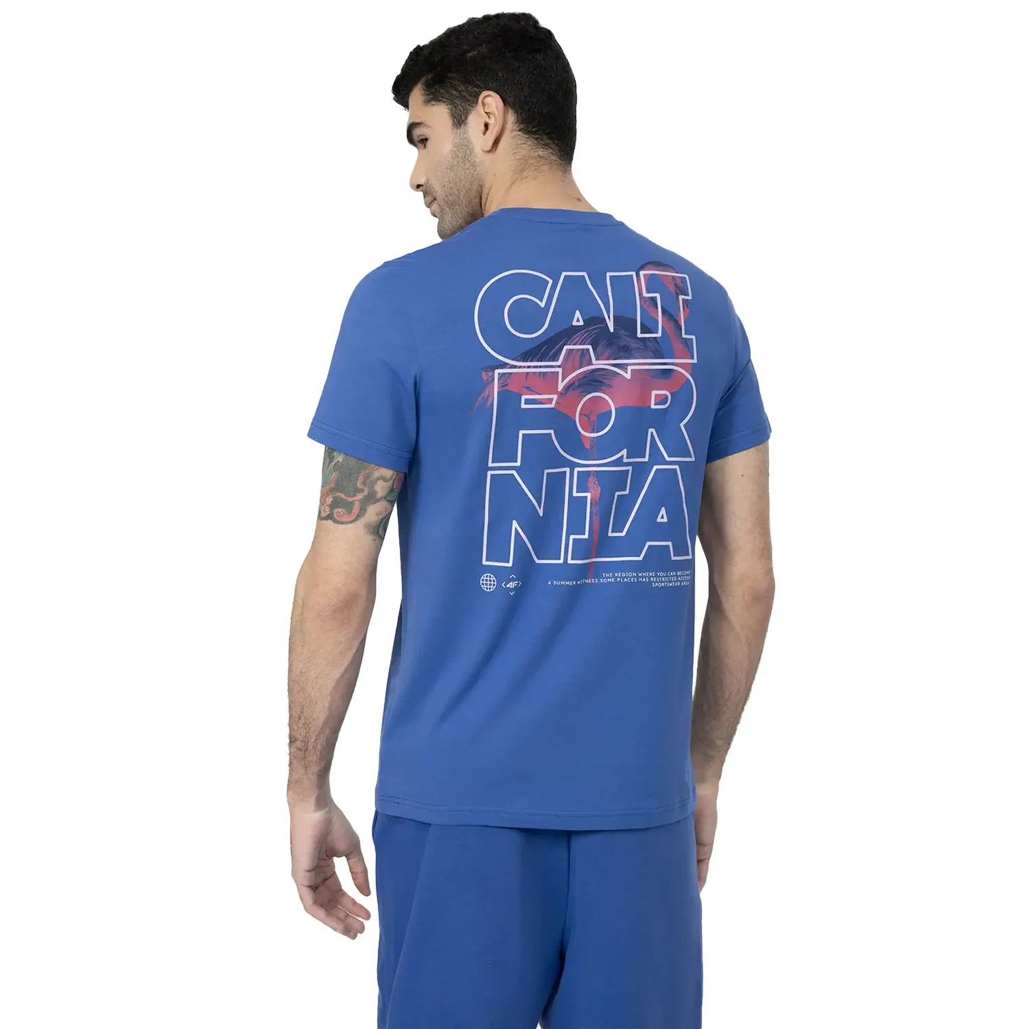 Koszulka męska 4F 4FSS23TTSHM360-36S