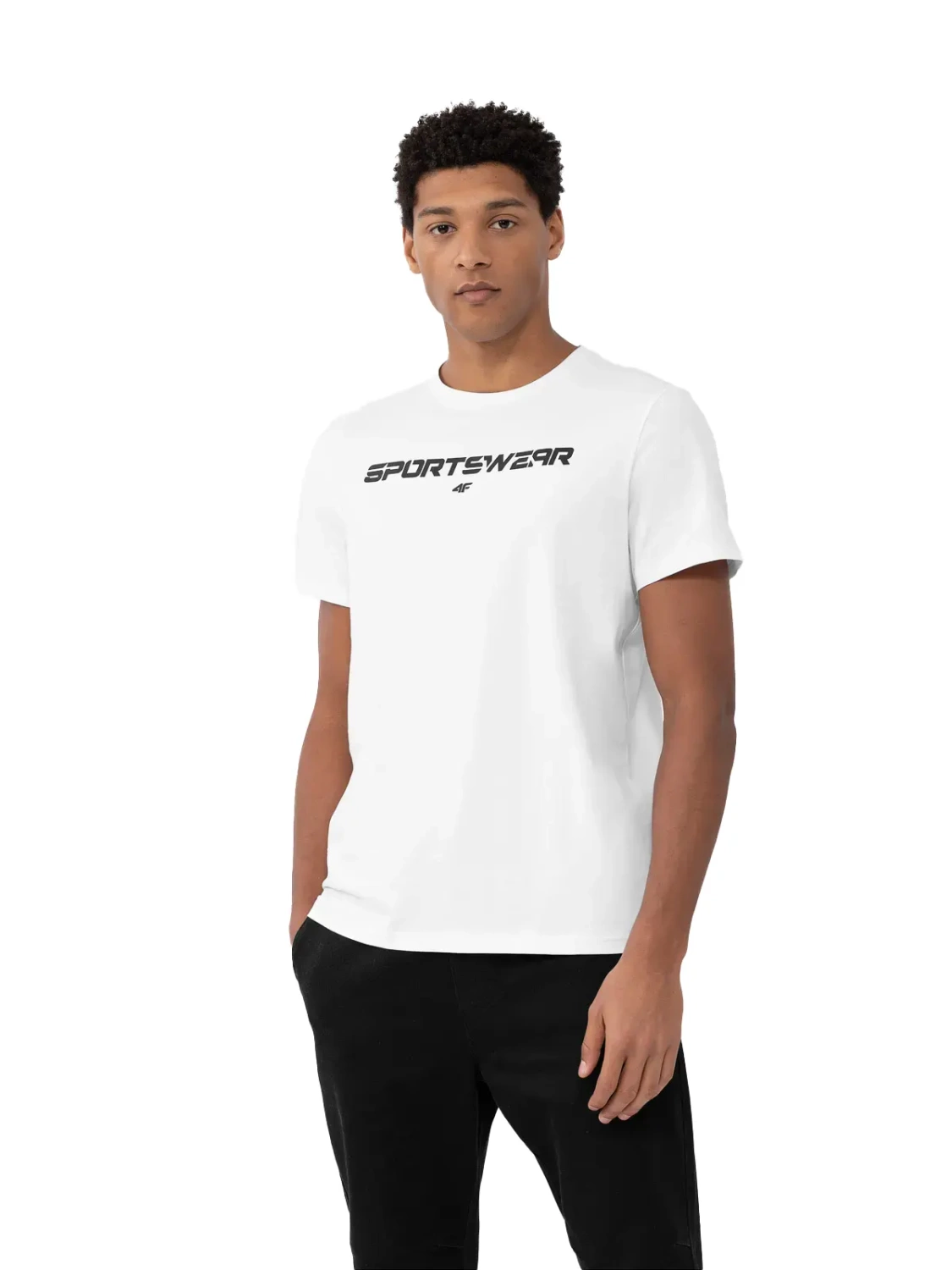 Koszulka męska  4F 4FAW23TTSHM0950-10S 