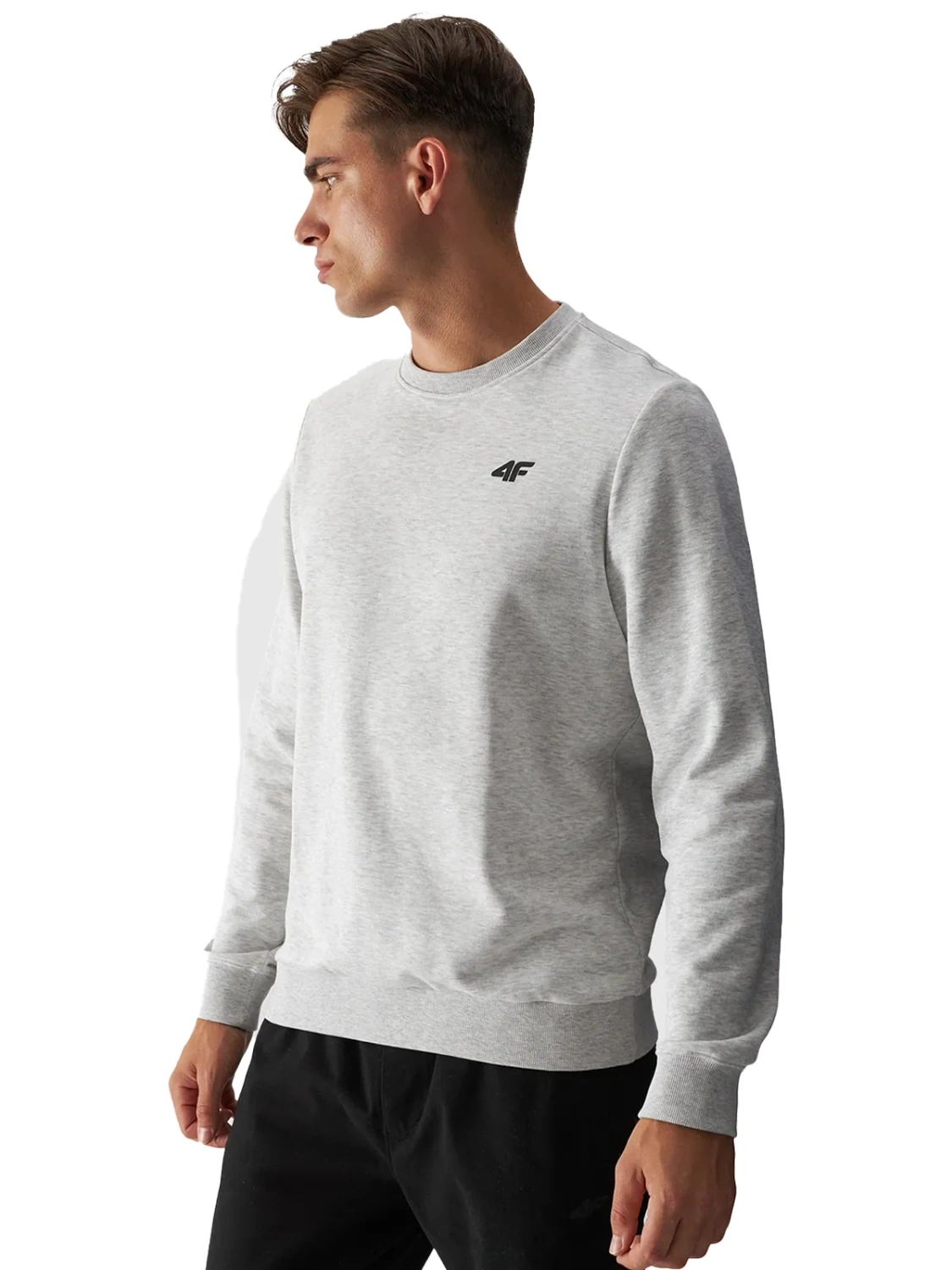 Bluza męska 4F 4FWMM00TSWSM1465-27M