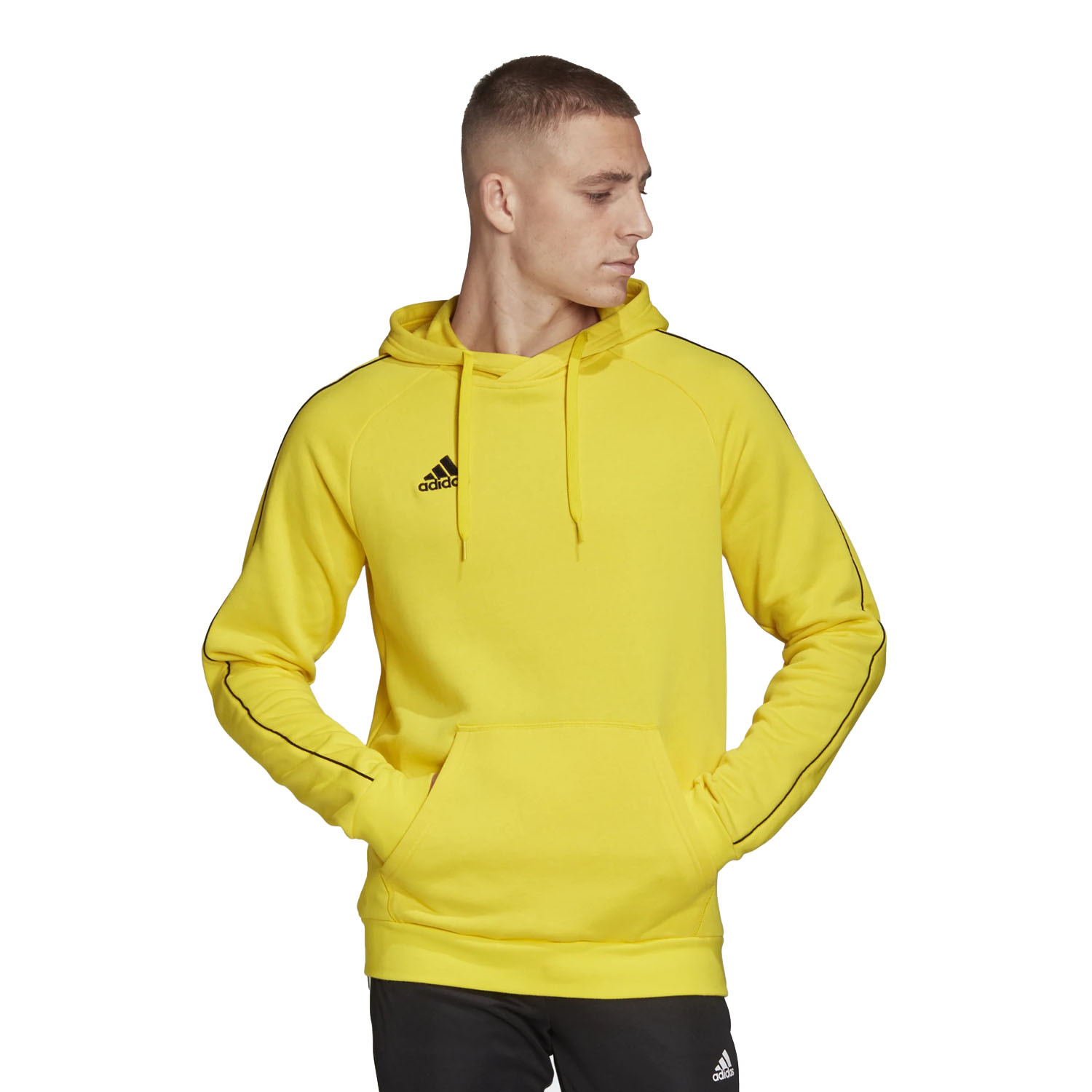 Bluza męska z kapturem adidas CORE18 FS1896