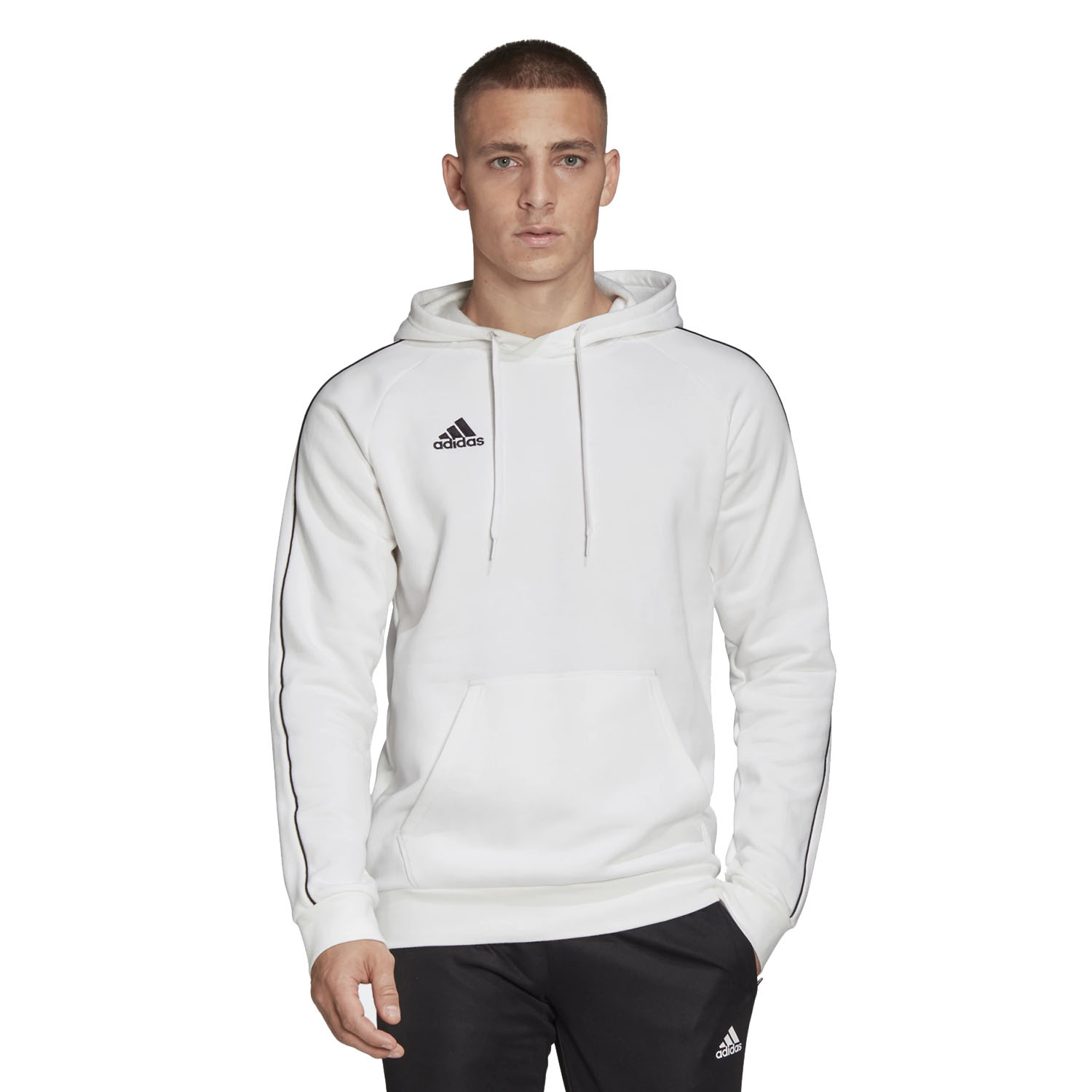 Bluza męska z kapturem adidas CORE18 FS1895