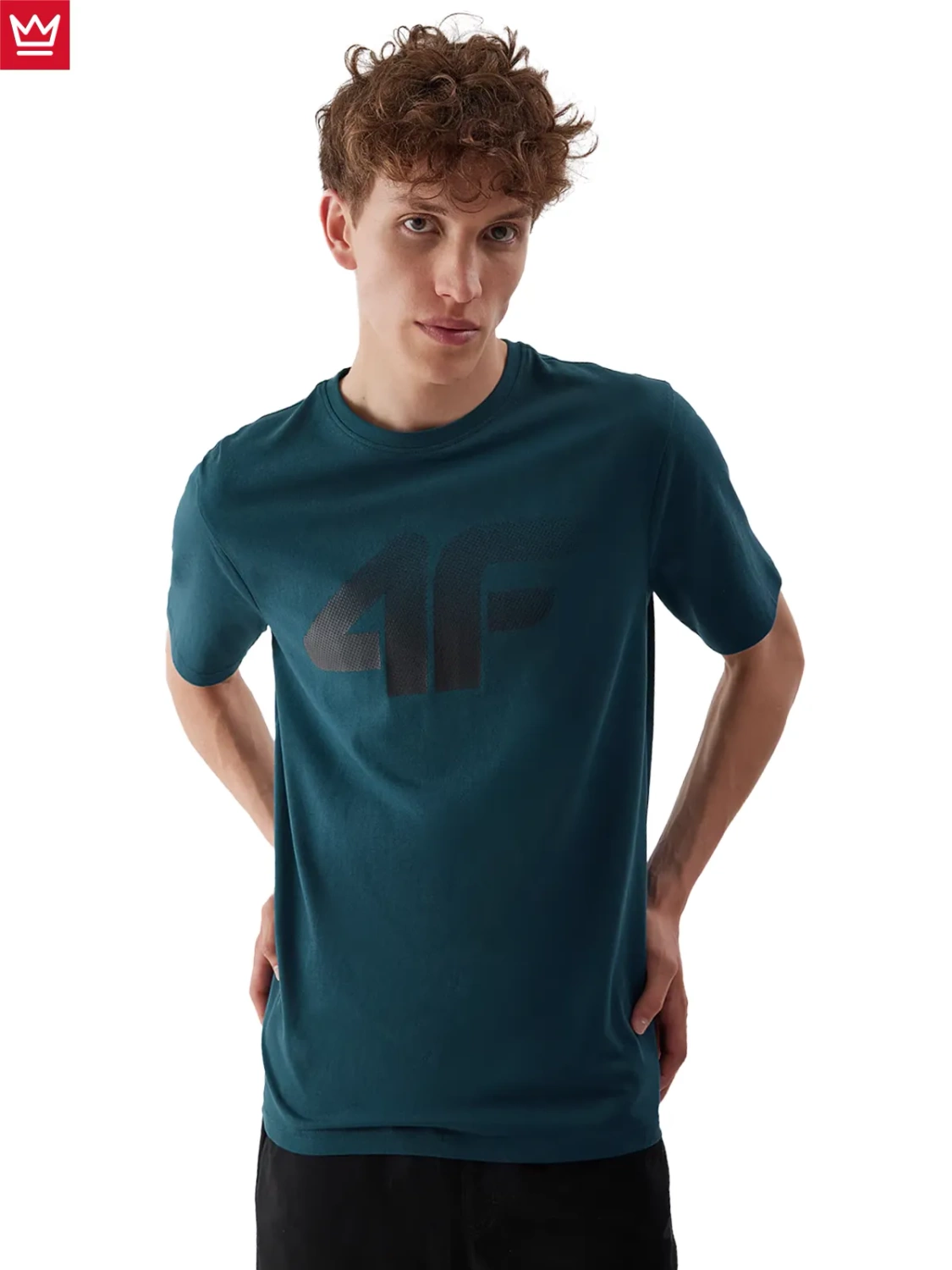 Koszulka męska 4F 4FWAW24TTSHM2423-46S