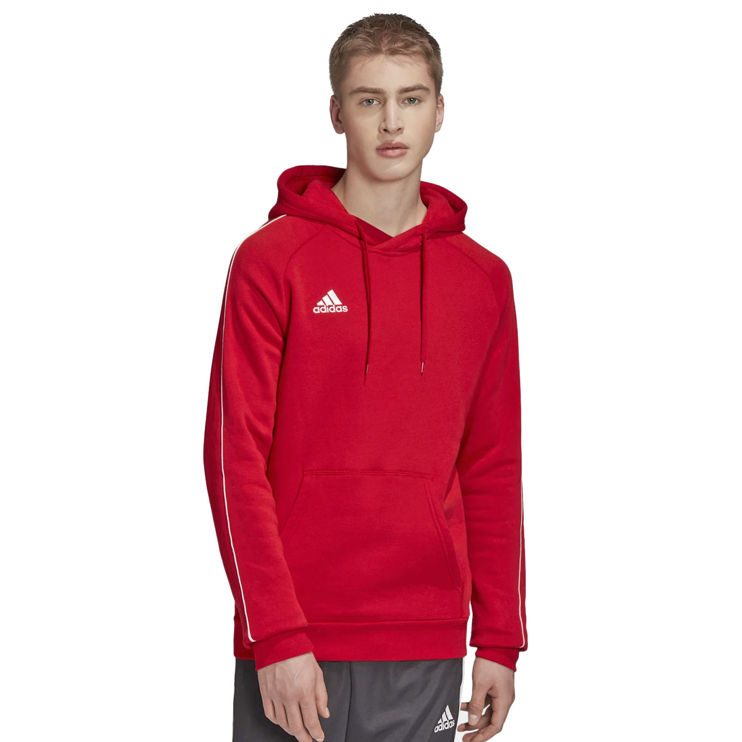 Bluza męska z kapturem adidas CORE18 CV3337